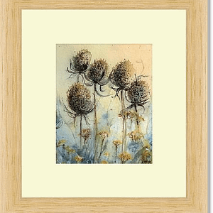 Teasels - Sold