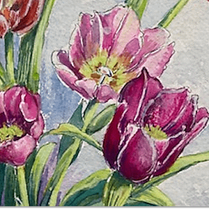 Laura's Tulips
