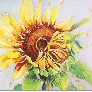 Sunflowers during Lockdown